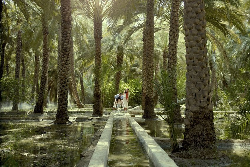 oasis-al-ain-abu-dhabi