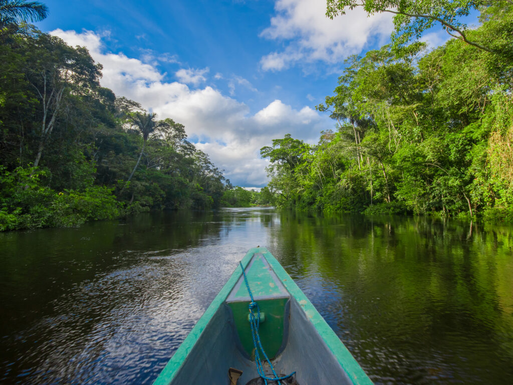 A canoe navigates a calm, dark river winding through a lush, green Amazon rainforest under a blue and cloudy sky.