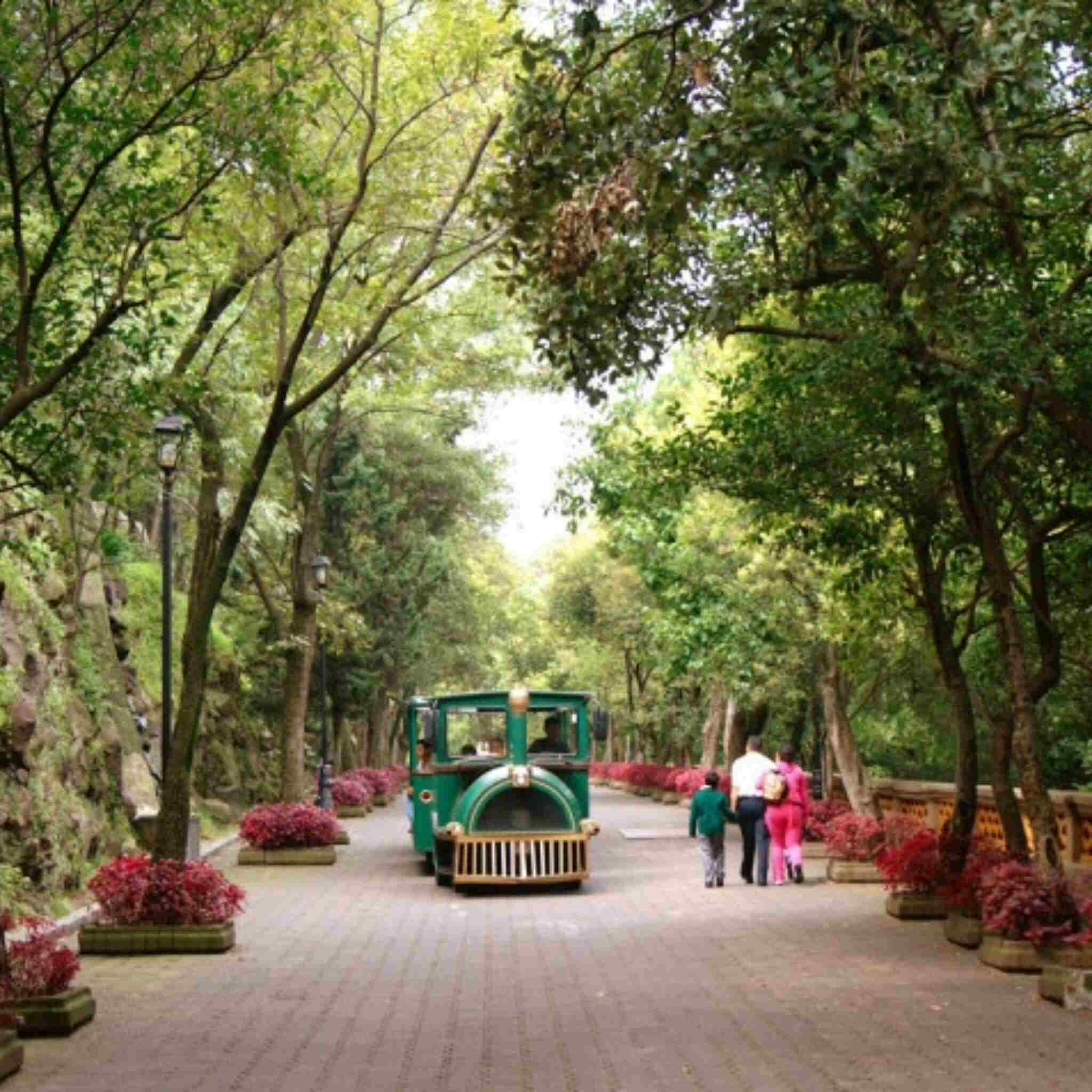 Green trolley traveling along a brick walkway in a park.